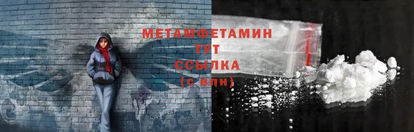 прущие грибы Алагир