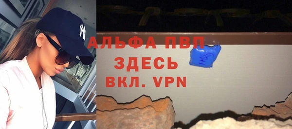 прущие грибы Бородино