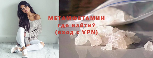 прущие грибы Бородино