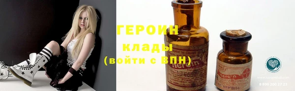 прущие грибы Бородино