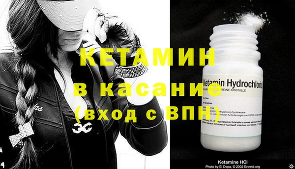 прущие грибы Бородино