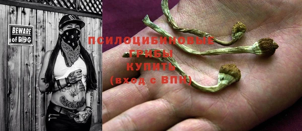 apvp Бугульма