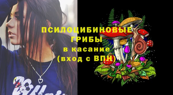 крисы Алапаевск