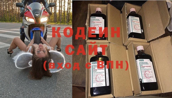 прущие грибы Бородино