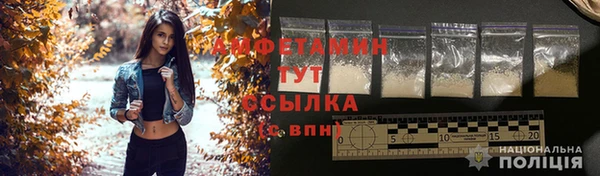 прущие грибы Бородино